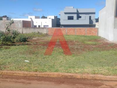 imagem-miniatura