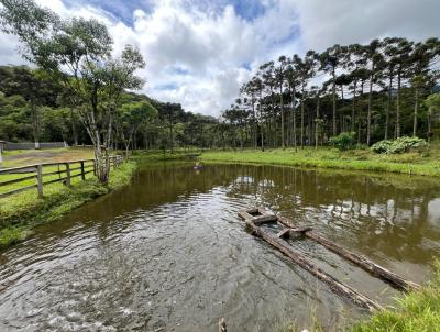 Chcara para Venda, em Tijucas do Sul, bairro Aracatuba, 3 dormitrios, 2 banheiros