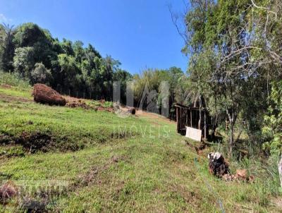 Lote para Venda, em Coronel Xavier Chaves, bairro guas Santas