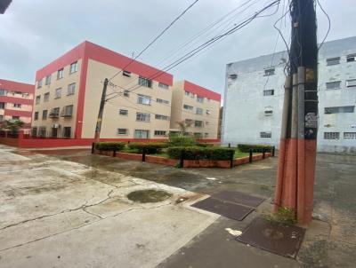 imagem-miniatura