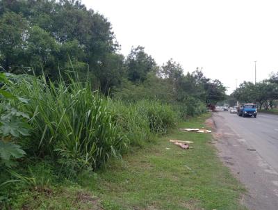 Terreno Urbano para Venda, em Rio de Janeiro, bairro Santssimo