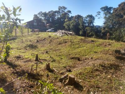 Stio / Chcara para Venda, em guas Mornas, bairro Rio  Miguel