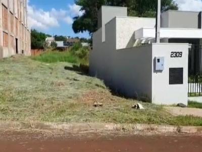 Terreno para Venda, em Medianeira, bairro Cidade Alta