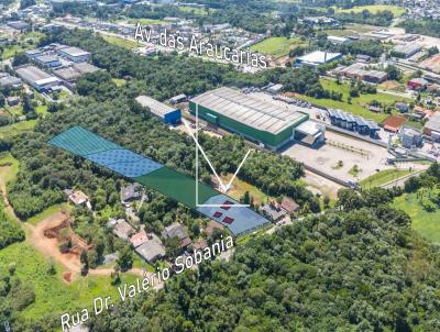 rea Industrial para Venda, em Araucria, bairro Thomaz Coelho