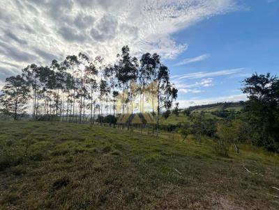 Terreno para Venda, em Corumbata, bairro Bairro do Cascalho