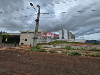 imagem-miniatura