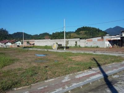 Terreno para Venda, em Guabiruba, bairro CENTRO