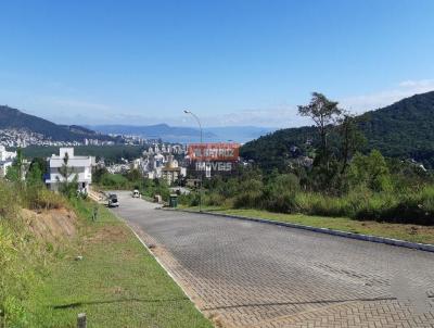 Terreno para Venda, em Florianpolis, bairro Itacorubi