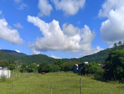 Terreno para Venda, em Florianpolis, bairro Rio Vermelho