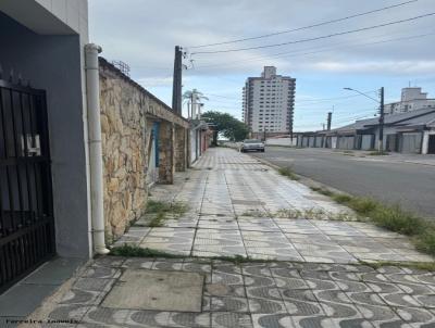 imagem-miniatura