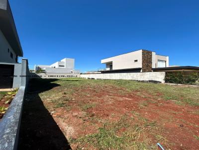 Terreno para Venda, em Ribeiro Preto, bairro Real Sul