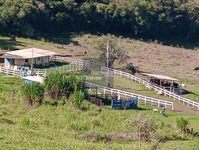 Stio para Venda, em Dom Vioso, bairro Serrinha