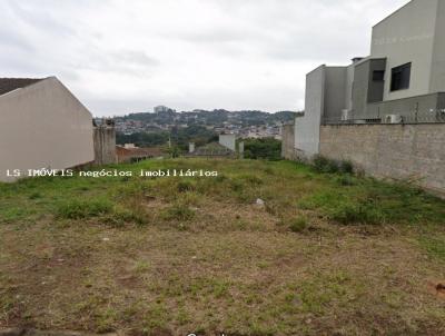 imagem-miniatura