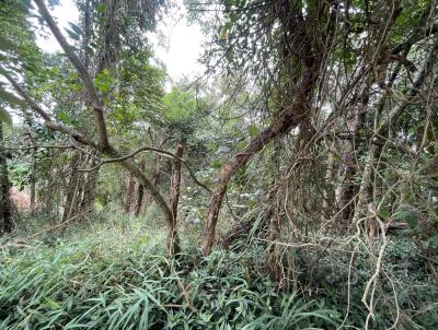Terreno para Venda, em Mairinque, bairro Porta do Sol