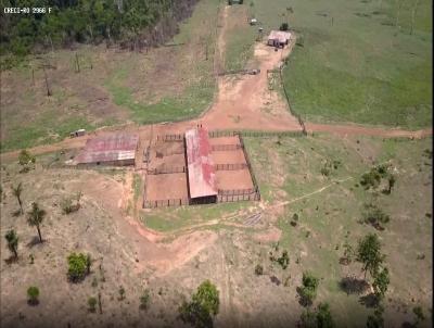 Fazenda para Venda, em Porto Velho, bairro Área Rural de Porto Velho, 4 dormitórios, 1 banheiro, 2 suítes