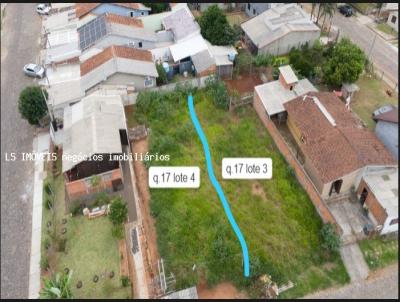 imagem-miniatura