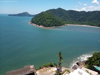 imagem-miniatura