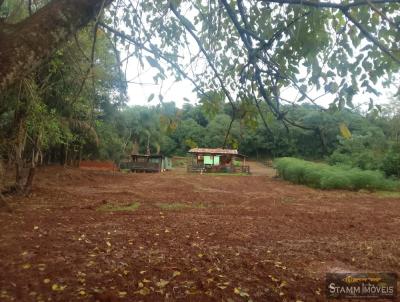 Chcara para Venda, em Tio Hugo, bairro Interior, 3 dormitrios, 1 banheiro