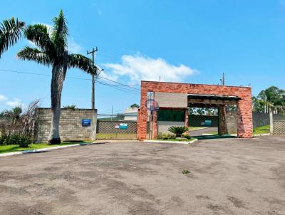Lote para Venda, em Telmaco Borba, bairro 