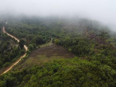 Chcara para Venda, em Santana da Boa Vista, bairro Santana da Boa Vista