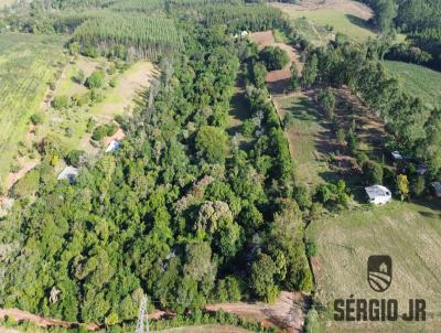 Stio / Chcara para Venda, em Triunfo, bairro rea rural, 2 dormitrios, 1 banheiro