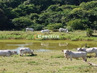 Sítio para Venda, em Alambari, bairro Área Rural, 2 dormitórios, 1 banheiro, 4 vagas