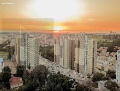 imagem-miniatura