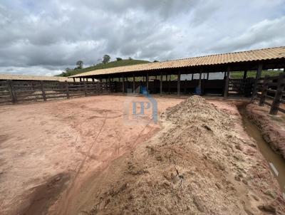 Fazenda para Venda, em Governador Valadares, bairro So Pedro