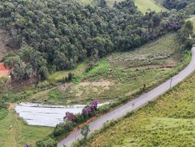 Terreno para Venda, em Toledo, bairro Rural