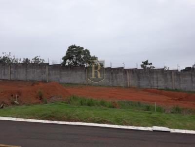 Terreno para Venda, em Telmaco Borba, bairro 