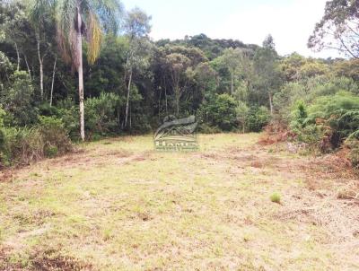 Terreno Rural para Venda, em Angelina, bairro ALTO GARCIA.