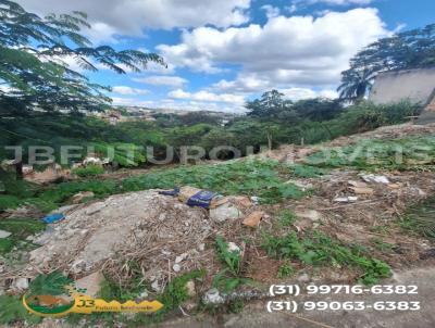 Lote para Venda, em Brumadinho, bairro SO CONRADO