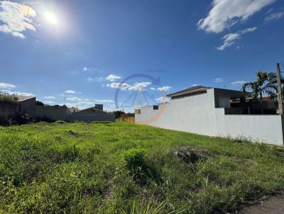 imagem-miniatura
