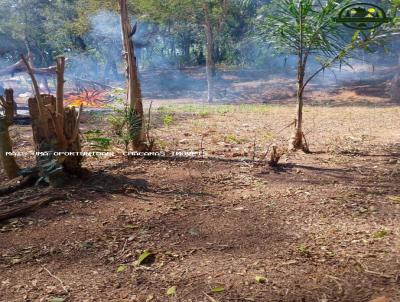 Terreno para Venda, em Ibina, bairro centro