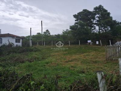 Terreno para Venda, em , bairro Praia do Rosa
