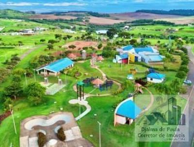 Terreno para Venda, em Sertanópolis, bairro ÁREA RURAL DE SERTANÓPOLIS.