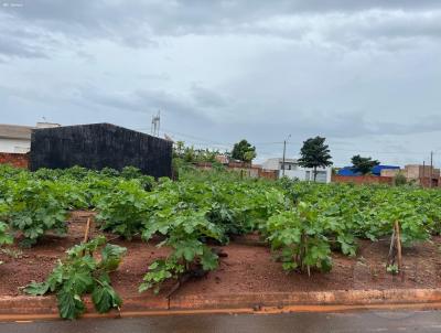 Terreno para Venda, em Nantes, bairro Jardim So Sebastio
