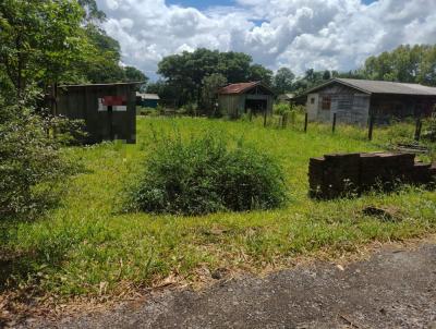 Terreno para Venda, em Osrio, bairro Borssia