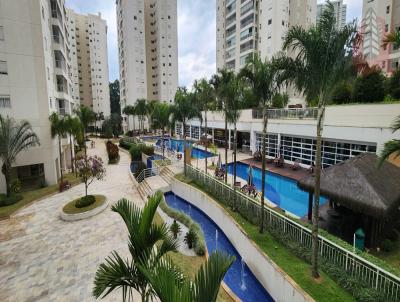imagem-miniatura