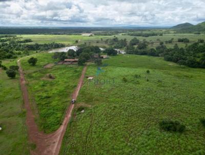 Fazenda para Venda, em Porangatu, bairro rea Rural de Porangatu
