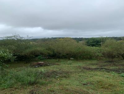 Terreno para Venda, em Santana do Livramento, bairro Vila Cruzeiro