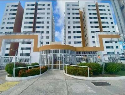 imagem-miniatura