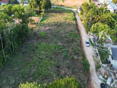 Terreno para Venda, em Gaspar, bairro Barraco