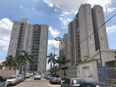 imagem-miniatura