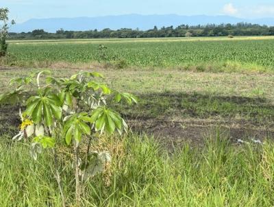 Fazenda para Venda, em Tremembé, bairro Área rural