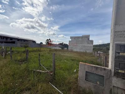 Terreno para Venda, em Penha, bairro Nossa Senhora de Ftima
