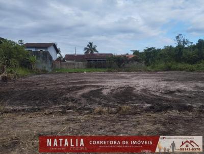 imagem-miniatura