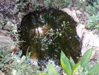 Chcara para Venda, em , bairro Centro, 2 dormitrios