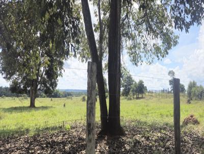 Stio para Venda, em Vilhena, bairro ZONA RURAL