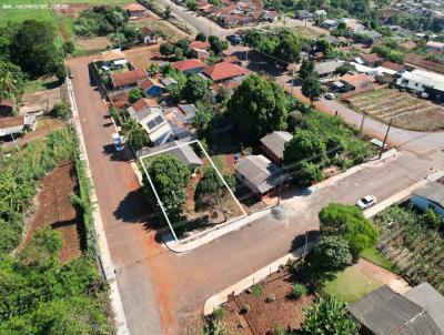 imagem-miniatura